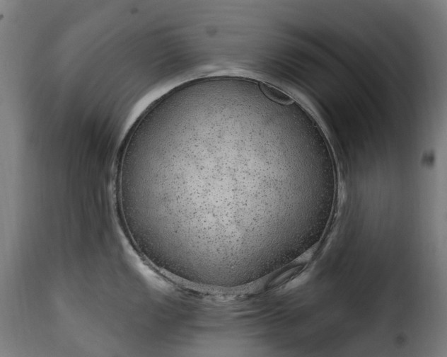 X0000115651149200911241728