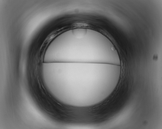 X0000115651151200911241728