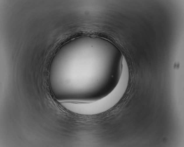 X0000115651153200911241727