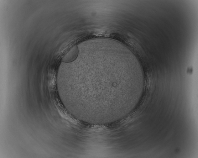 X0000115651154200911241727