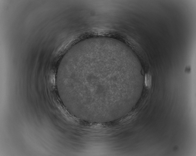 X0000115651155200911241727