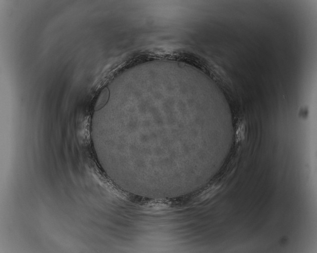 X0000115651156200911241727