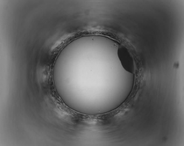 X0000115651157200911241727