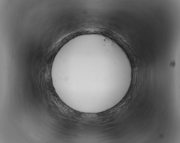 X0000115651158200911241727