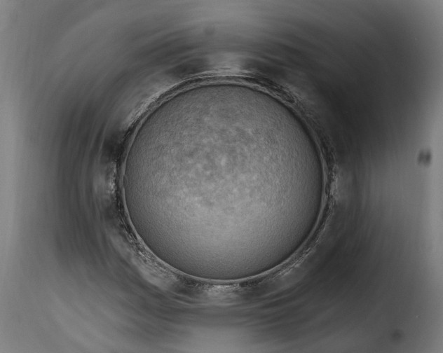 X0000115651161200911241727