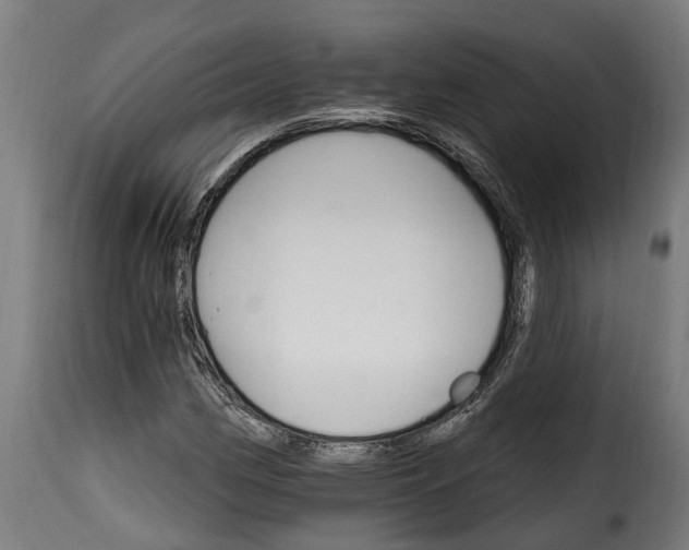 X0000115651162200911241727