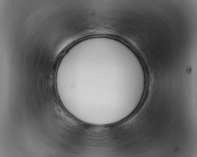 X0000115651163200911241727