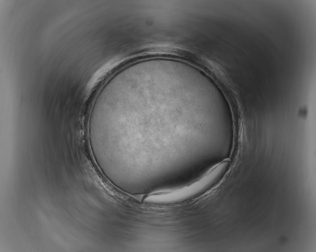 X0000115651164200911241727