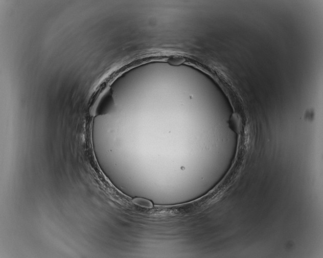 X0000115651165200911241727