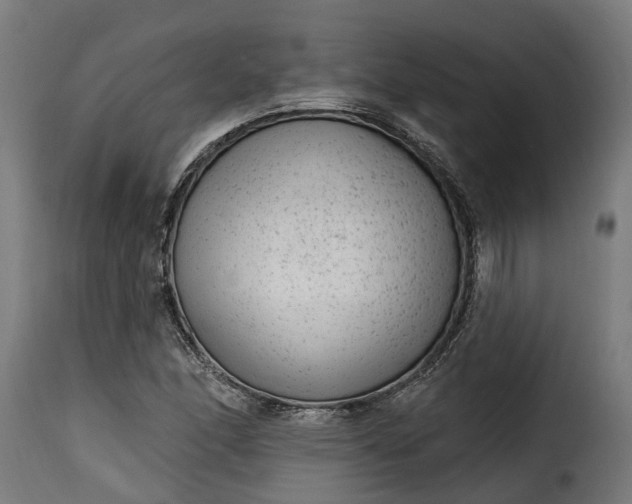 X0000115651166200911241727