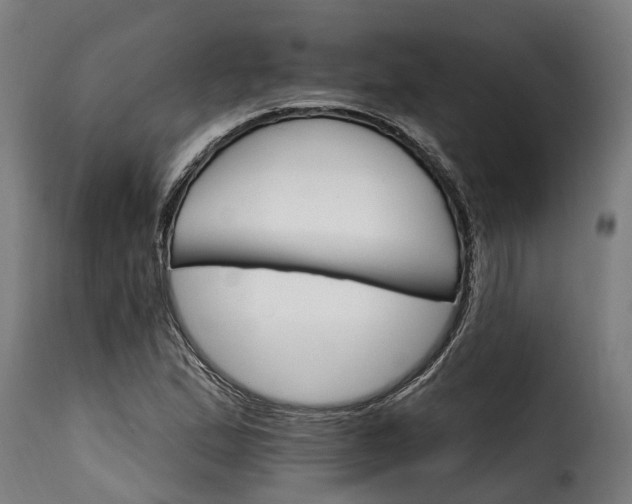 X0000115651167200911241727