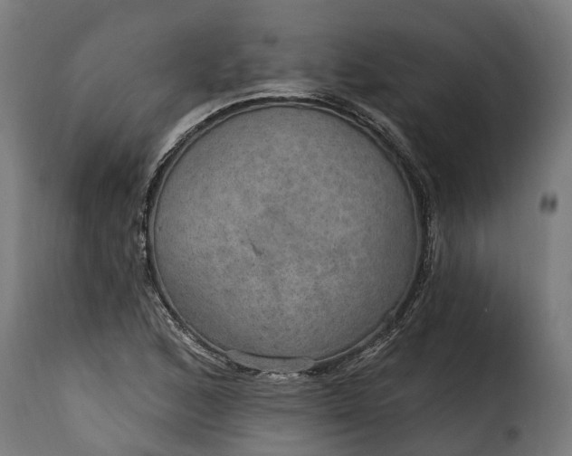 X0000115651168200911241727