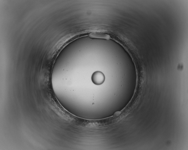 X0000115651169200911241727