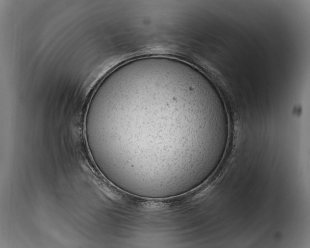 X0000115651170200911241727