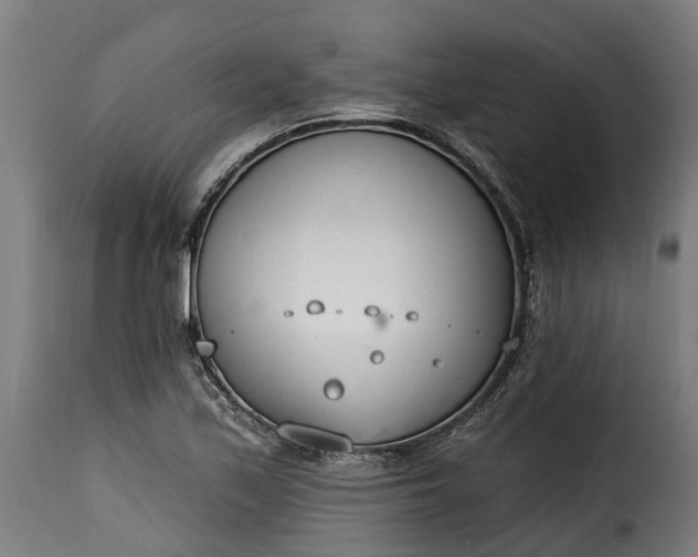 X0000115651171200911241727