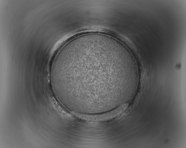 X0000115651172200911241727