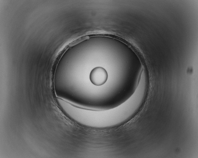 X0000115651173200911241727