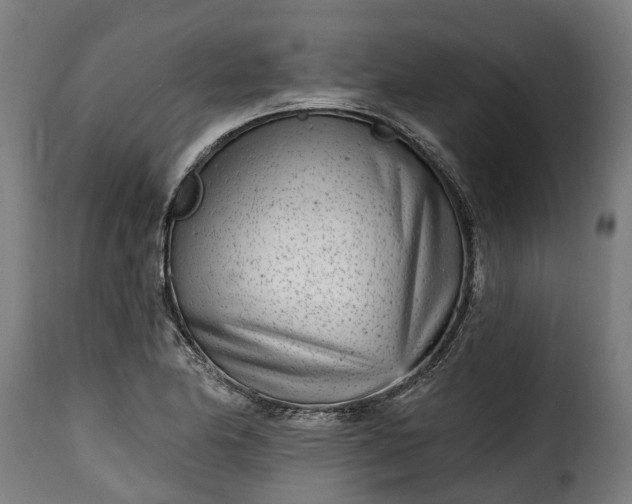 X0000115651174200911241727