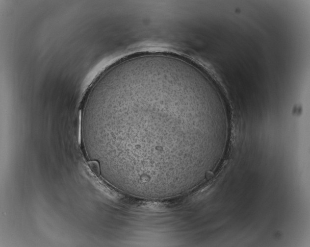 X0000115651175200911241727