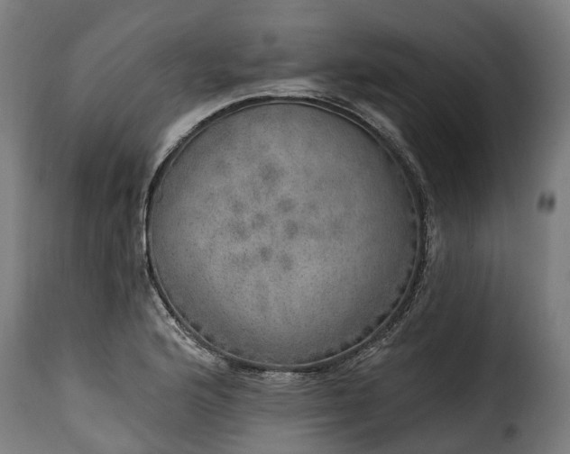 X0000115651176200911241727