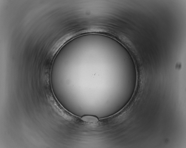 X0000115651177200911241727