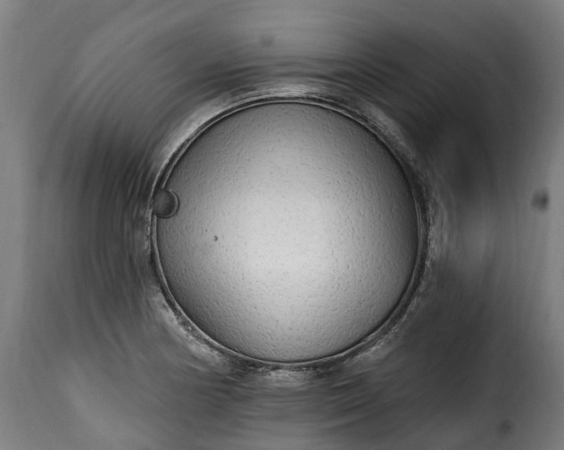 X0000115651178200911241727