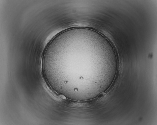 X0000115651179200911241727