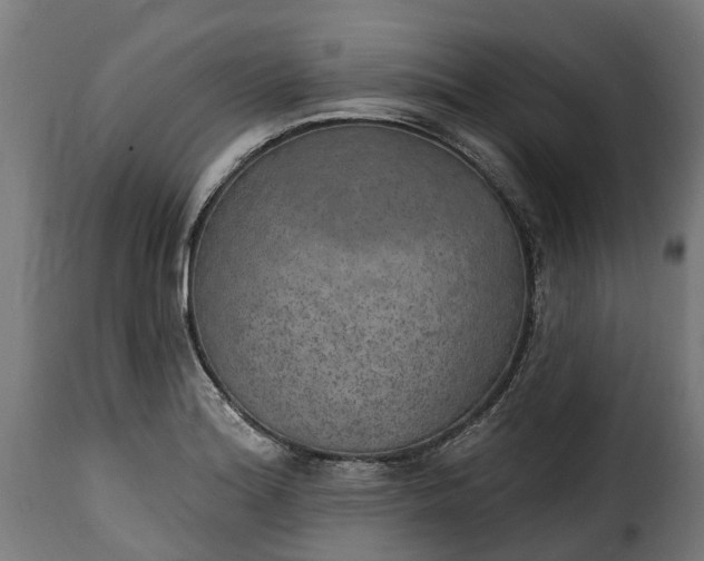 X0000115651180200911241727