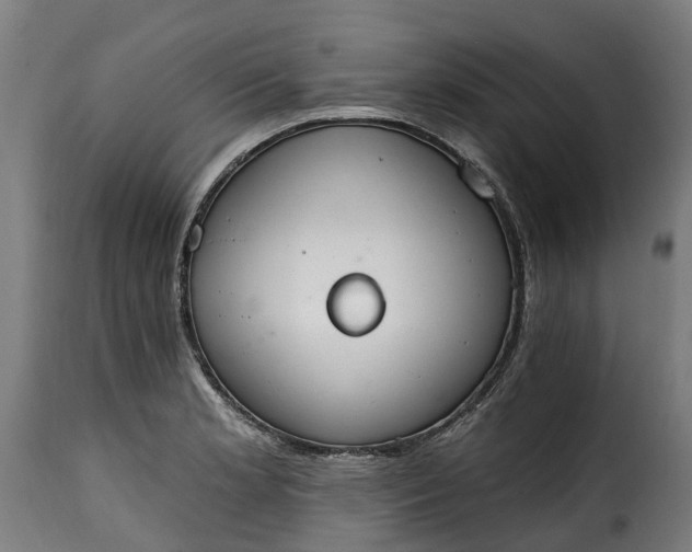 X0000115651181200911241727