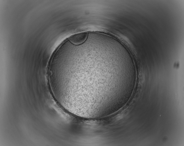 X0000115651182200911241727