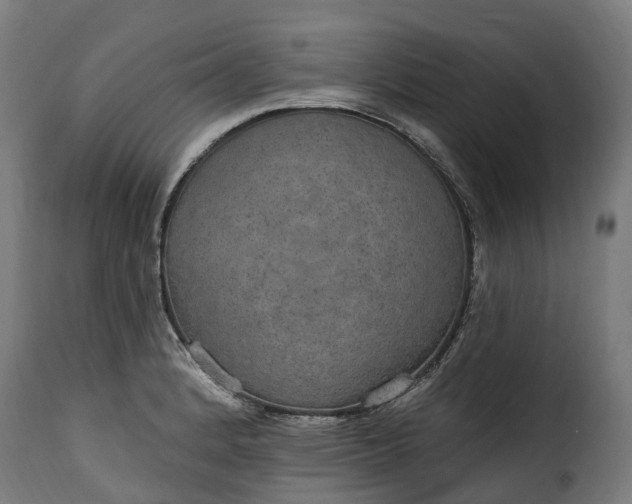 X0000115651184200911241727