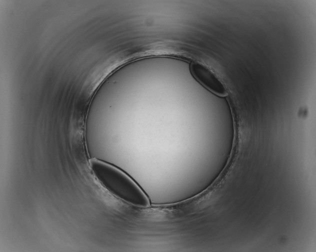 X0000115651185200911241727