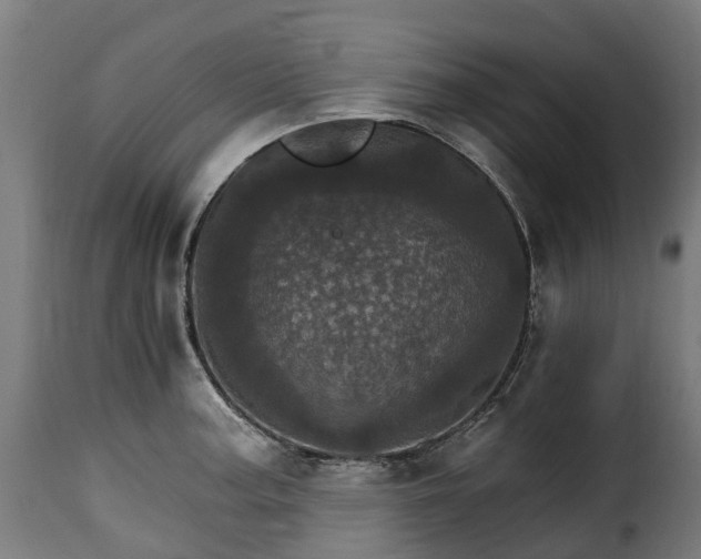 X0000115651187200911241727