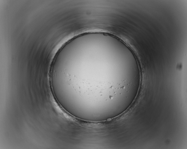 X0000115651189200911241727