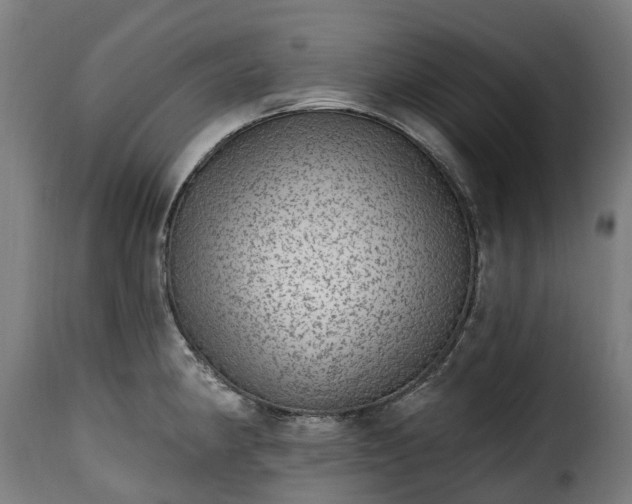 X0000115651190200911241727