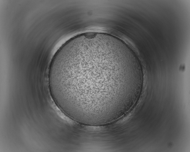 X0000115651192200911241727