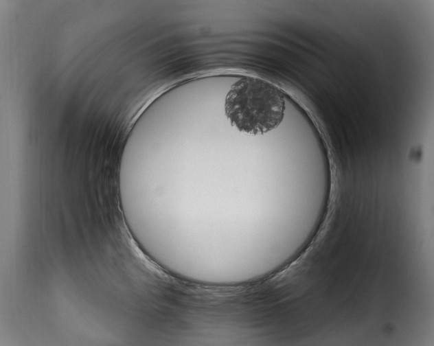 X0000115651193200911241727