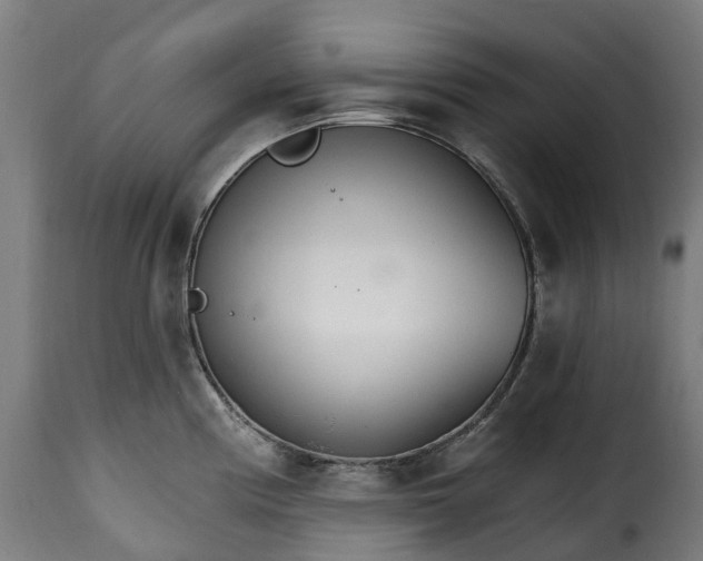 X0000115651194200911241727