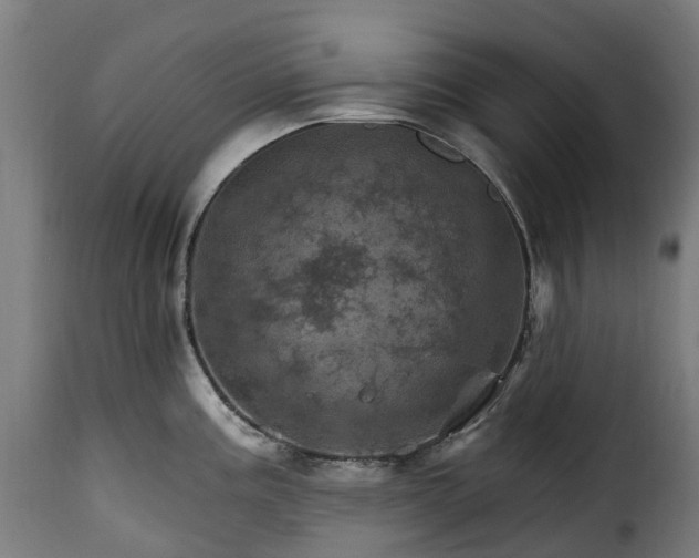 X0000115651195200911241727