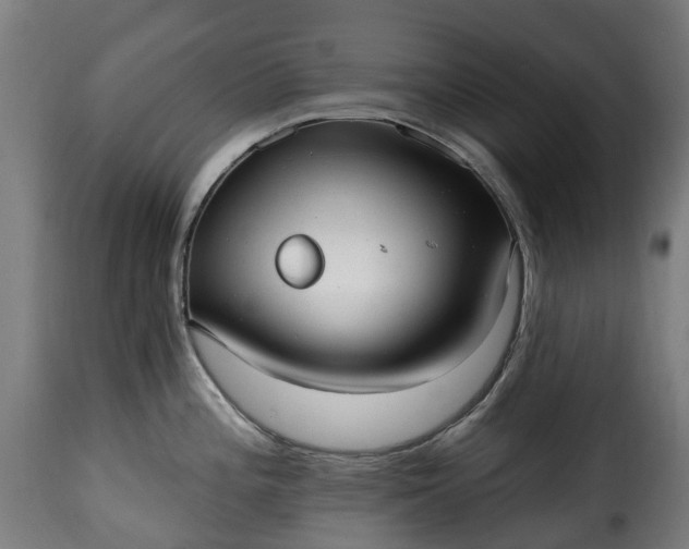 X0000115651196200911241727