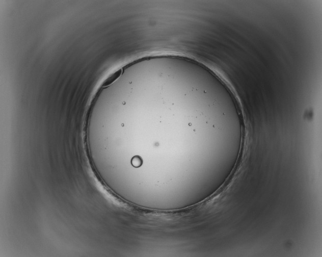 X0000115651197200911241727