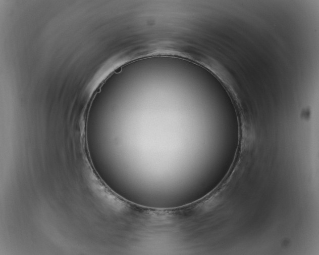 X0000115651198200911241727