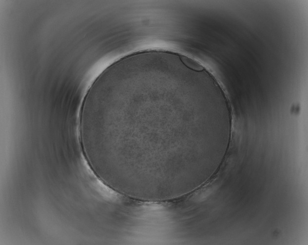 X0000115651199200911241727