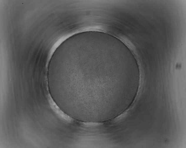 X0000115651200200911241727