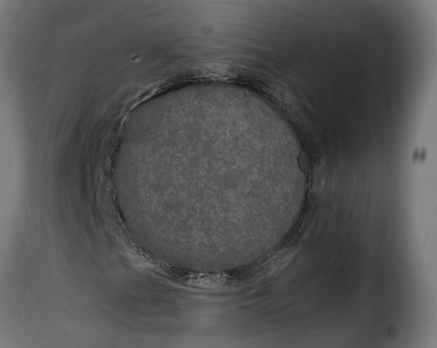 X0000115651201200911241726