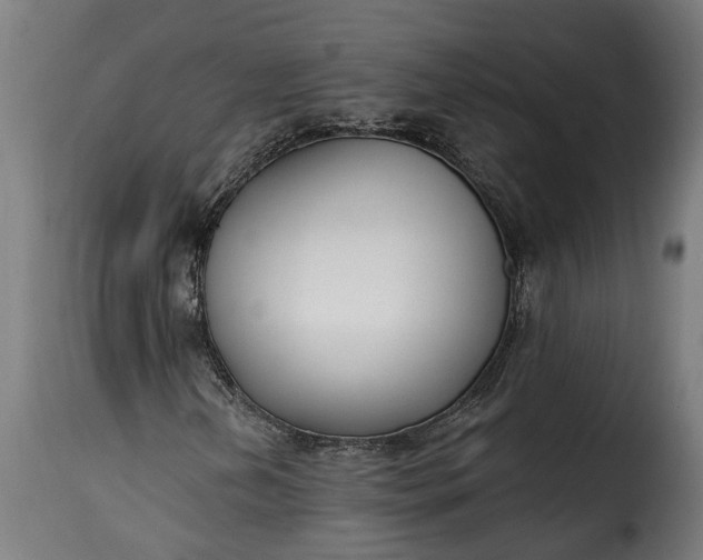 X0000115651202200911241726