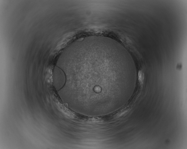 X0000115651203200911241726