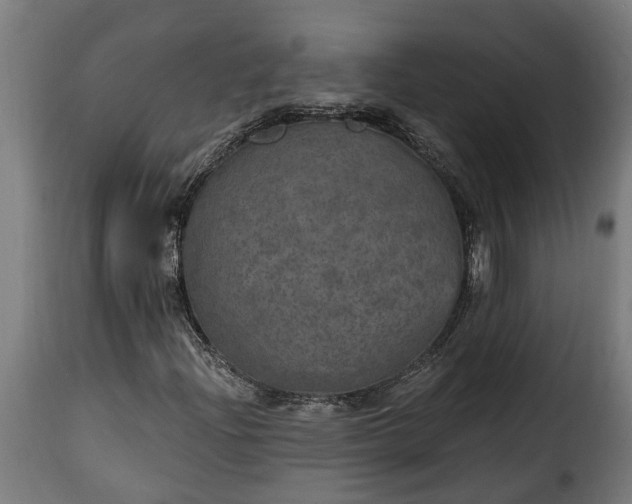 X0000115651204200911241726