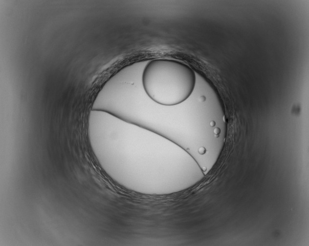 X0000115651205200911241726