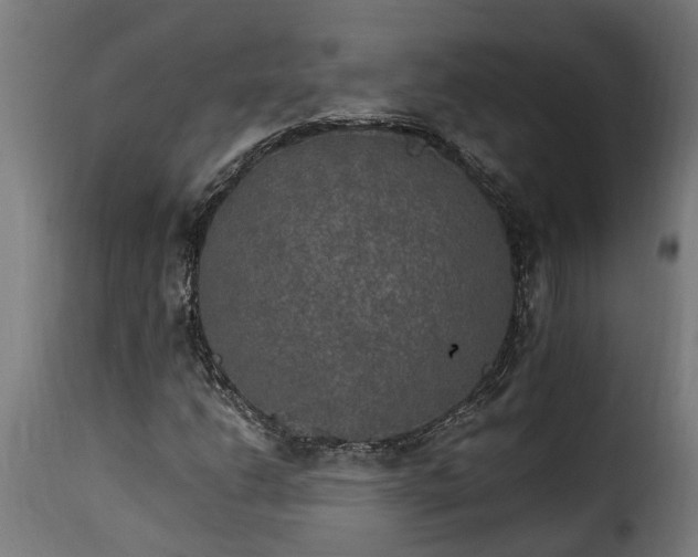 X0000115651206200911241726